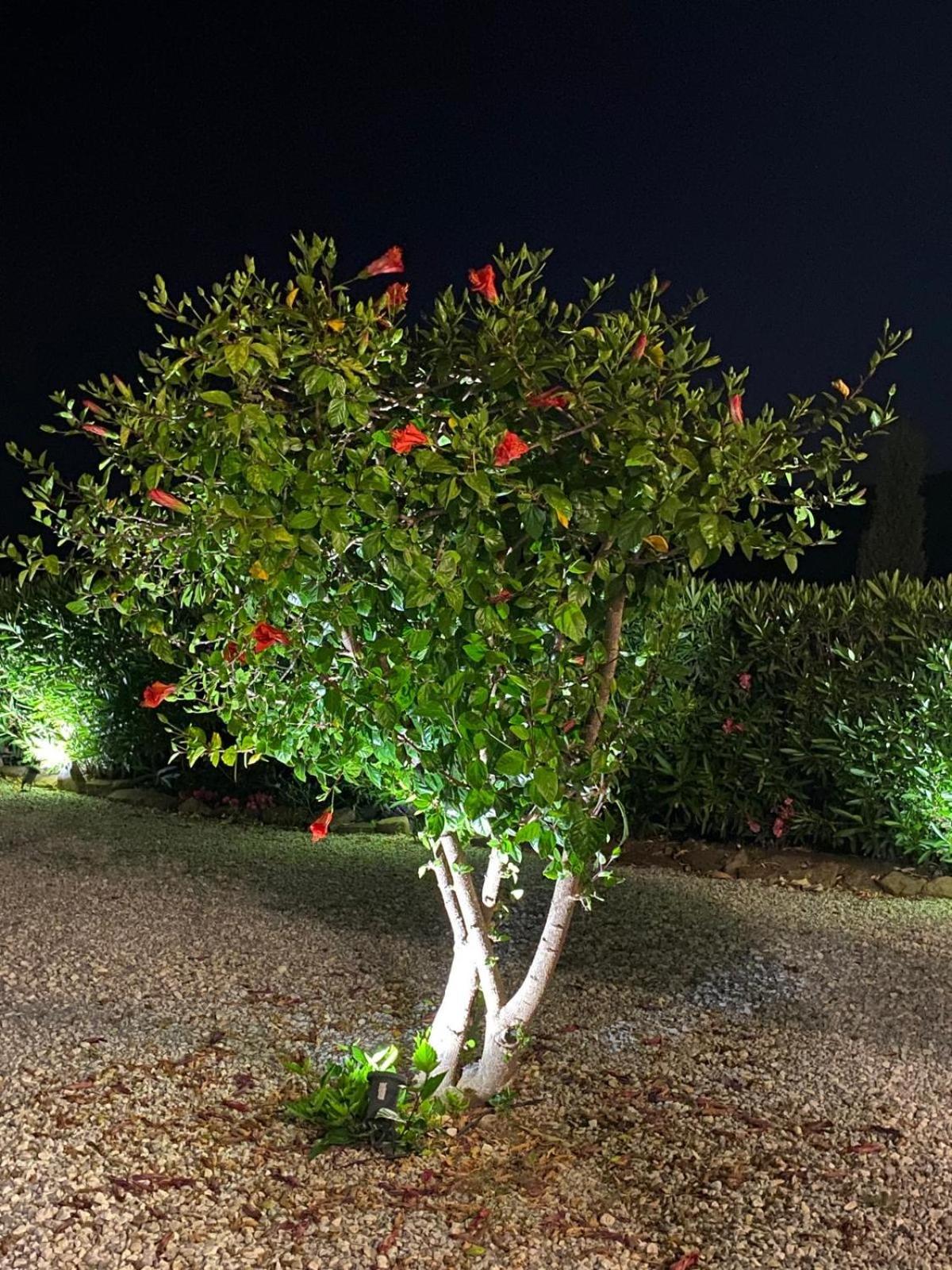 Finca Angelita トロクス・コスタ エクステリア 写真