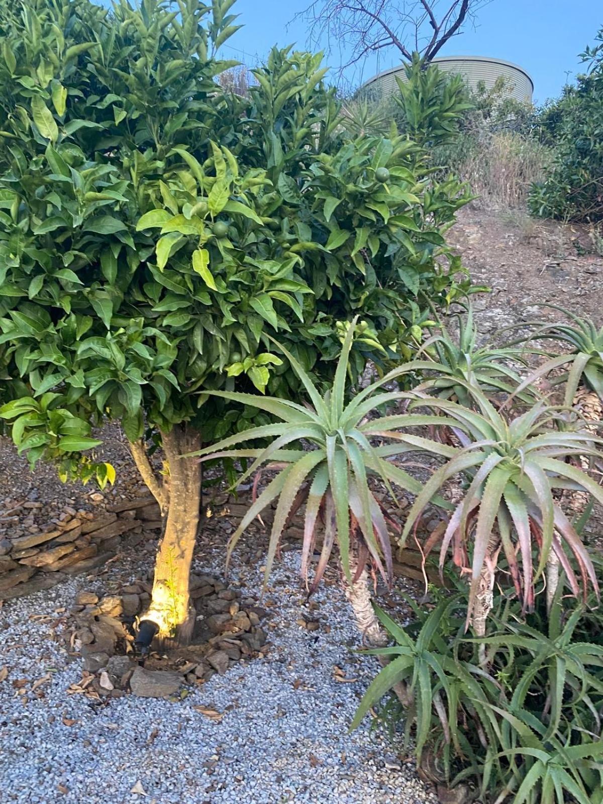 Finca Angelita トロクス・コスタ エクステリア 写真